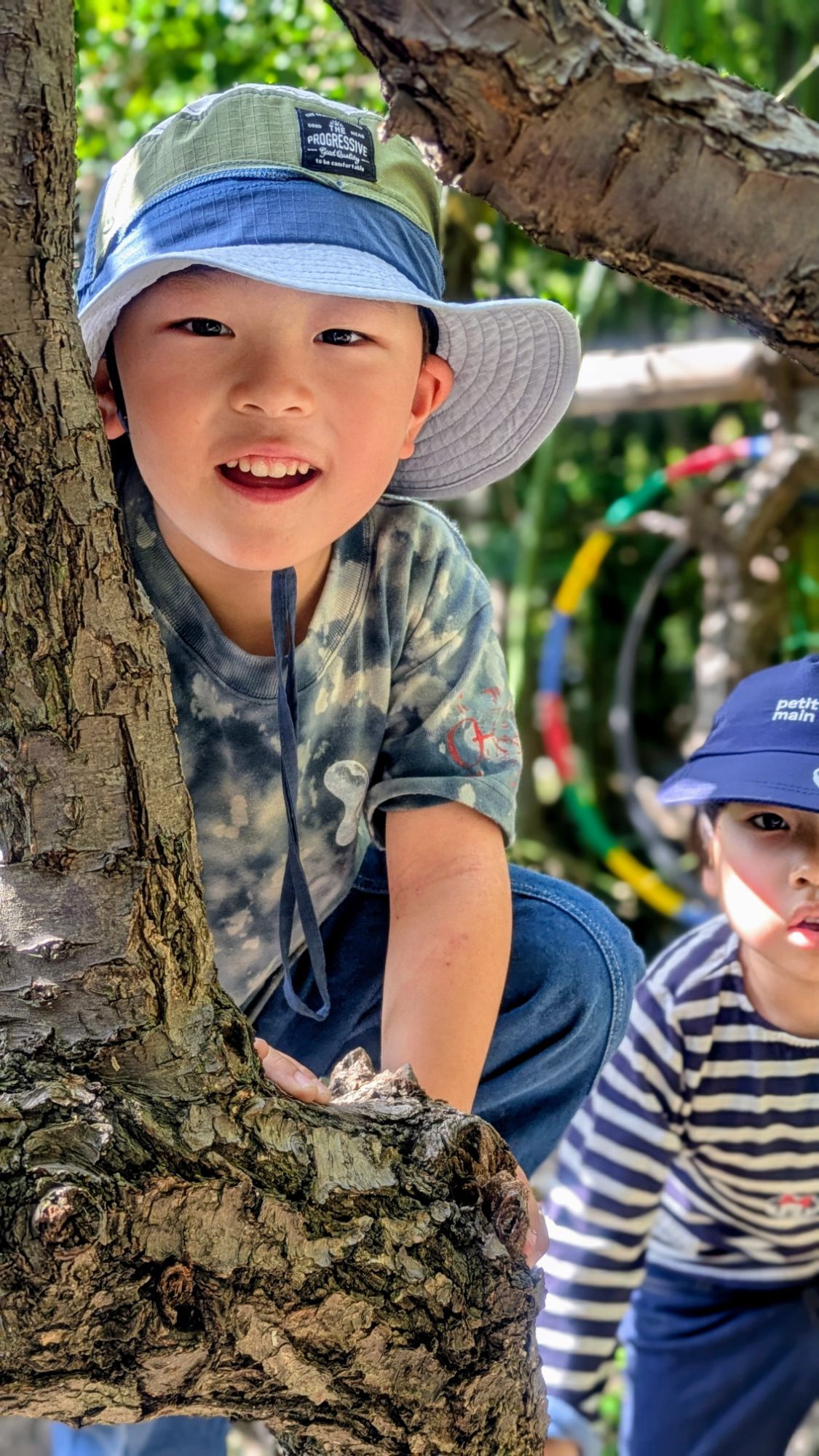 木登りを楽しむ子どもたち